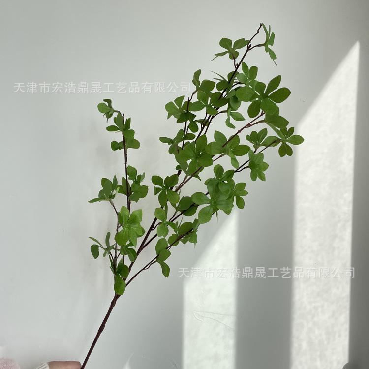 微信图片_202203211531323_副本
