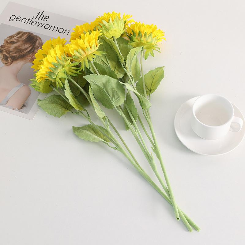 短枝三头 (1).JPG