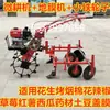 Micro-Enxadão com Máquina de Estender Filme Agrícola, Máquina de Cobrir com Filme, Máquina de Estender Filme, Máquina de Cobrir Tipo Disco e Máquina de Cobrir Integrada