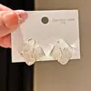 Flores Cintilantes~ Brincos de Tarraxa Flor de Zircônia de Cristal Levemente Luxuosos Brincos Geométricos Simples Personalizados Acessórios de Brinco com Sensação de Alto Padrão