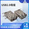 Conector hembra USB2.0 AF enchufe lateral cuerpo largo ángulo de curvatura conector de pegamento blanco enchufe USB toma de corriente USB conector hembra