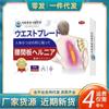 Atacado do Fabricante Patch de Artemísia Japonesa para Protusão Lombar para Uso Doméstico para Homens e Mulheres
