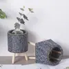 Trípode para Maceta de Ratán Pantalla de Escritorio para Sala de Estar Contenedor Creativo para Almacenamiento de Suculentas Adornos para Pothos en Balcón
