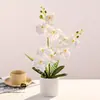 Bonsái de Orquídea Phalaenopsis de 9 Flores Flor Artificial Moda Decoración Creativa de Flores Adornos Planta Verde Artificial Planta Pequeña en Maceta Artificial