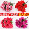 Ramas de Azalea Artificiales, Macizos de Flores Falsas de Plástico, Proyectos de Decoración de Jardinería, Flores de Seda Insertadas en el Suelo, Paisajismo de Puntos Escénicos de Centros Comerciales