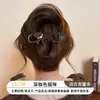 Presilha de cabelo elegante e sofisticada torcida para mulheres, novo modelo 2026, presilha reta para a parte de trás da cabeça, acessório de cabelo para penteados presos, presilha de garra
