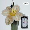 Materiais de Embalagem para Buquês Jemi, Suprimentos para Floristas, Embalagem Floral, Spray Corante à Base de Água, Tinta Spray, Spray para Flores