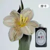 Materiais de embalagem para buquês, suprimentos para floristas, arte floral, absorvedor de cor de 300ML para rosas de corte fresco, corante especial
