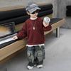 Sudadera de Otoño para Niños 2025 Nuevo Estilo Coreano Chico Guapo Top Tie-Dye Suéter de Primavera y Otoño para Niños Pequeños Moderno