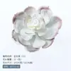 Cabeças de Flores Suculentas Artificiais e Acessórios, Plantas Verdes para Decoração de Parede de Fundo, Paisagismo Interno, Decoração de Casa Acessórios de Plantas Artificiais