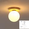 Lámpara de techo pequeña para pasillo, entrada, pasillo, estilo nórdico, sencilla, moderna y creativa, para guardarropa, LED, para balcón
