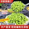 Grãos de Trigo Frescos Verde 2025 de Henan, Grãos de Trigo Autênticos em Estoque para Uso Comercial, Grãos de Trigo Frescos com Casca Fina