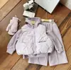 Conjunto de 3 Piezas para Niñas Otoño e Invierno Nuevo 2025 Estilo Coreano Color Sólido Sudadera Engrosada con Forro de Felpa, Pantalones Deportivos Casuales, Chaleco de Felpa Acolchado