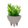 Maceta de plástico para comercio electrónico transfronterizo, boca de jardín triangular, engrosada, estilo nórdico simple, imitación de cemento, mini maceta de simulación para suculentas