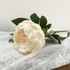 Flor Artificial de Peonía con Borde Vintage, Peonía Artificial para Decoración Suave, Ramo para Celebración de Boda, Decoración de Sala de Estar, Arreglo Floral para el Hogar