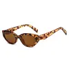 Gafas de Sol Europeas y Americanas Ojo de Gato Transfronterizas, Gafas Elegantes y de Moda con Montura Pequeña, Estilo Callejero para Mujer, Protector Solar con Protección UV Ins Gafas de Sol