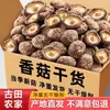 Champiñones Shiitake Secos Gutian, Peso Neto, Seleccionados de Granja, para Sopa, Carne Gruesa, Sin Raíz, Champiñones Secos, Champiñones Shiitake