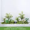 [Escena de Apilamiento Estilo Tres Caracteres] Paisaje de Flores y Hierba, Plantas Verdes, Plantas Artificiales, Musgo Decorativo, Muebles de Interior de Lujo Accesible