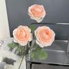 Nueva flor artificial de champán para el hogar, sala de estar, mesa de centro, exhibición de flores, boda, fondo de boda, decoración de pared, flor falsa