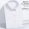 Camisa Corta Profesional de Verano para Mujer 100 Algodón de Alto Hilo y Alta Densidad DP Garments Camisa Fácil de Manejar Sin Planchar