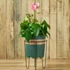 Suporte de Flores Baixo de Ferro Forjado de Camada Única Estilo Europeu para Chão Suporte para Vasos de Flores de Varanda Sala de Estar Suporte Simples de Ferro Forjado para Rabanete Verde Pequeno