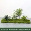 Musgo Sintético Decoración Suave para Interiores Conjunto de Micro Paisaje Combinación Exhibición en Ventana Pasillo Musgo Artificial Plantas Verdes Arreglo de Paisajismo Decoración