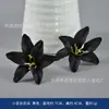 Flor Negra Joyería de Halloween Cabeza de Flor Decorativa Venta Caliente Transfronteriza Material de Flor Caja de Flor de Rosa Paquete de Material Material Auxiliar