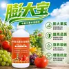 Tesoro Más Grande Fruta Más Grande Agente Hinchador de Frutas Agente Frutal Endulzante Colorante Promoviendo la División Celular Frutas y Árboles Frutales Anti-Agrietamiento Mayor Producción Fertilizante Foliar