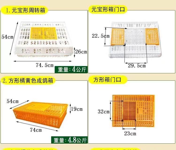 微信图片_20241113160133
