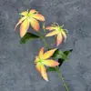 Lirio de Fuego Película de Impresión 3D Flor de Simulación Boda Hogar Hotel Decoración Transfronteriza Adornos de Flores Artificiales Venta al por Mayor