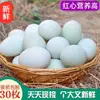 30 Envíos Gratis Huevos de Pato Crudos Frescos, Huevos de Pato de Granja de Piel Verde y Blanca, Grandes, Listos Para Recoger, Listos Para Incubar Huevos de Pato al por Mayor