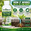 KineShineX Eliminador de Malezas para Juntas de Losa de Piedra de Jardín Líquido para Eliminación de Malezas en Juntas de Ladrillo de Piedra
