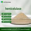 Preparo Enzimático de Hemicelulase Alta Atividade Enzimática Batimento de Papel Hidrólise Enzimática 5W-20W Quebra de Parede Preparo Enzimático Biológico Grau Alimentício