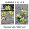 Nuevo Modelo de Flores de Rosa Artificiales, Rosa Laffy de 3 Cabezas Transfronteriza para San Valentín, Decoración de Pasillo de Boda, Ramo de Mano, Arreglo Floral de Pared, Flores Artificiales Decorativas