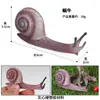 Modelo de Animal Simulador Mini Animal Borboleta Galo Formiga Sapo Tartaruga Libélula Brinquedo de Ciclo de Crescimento