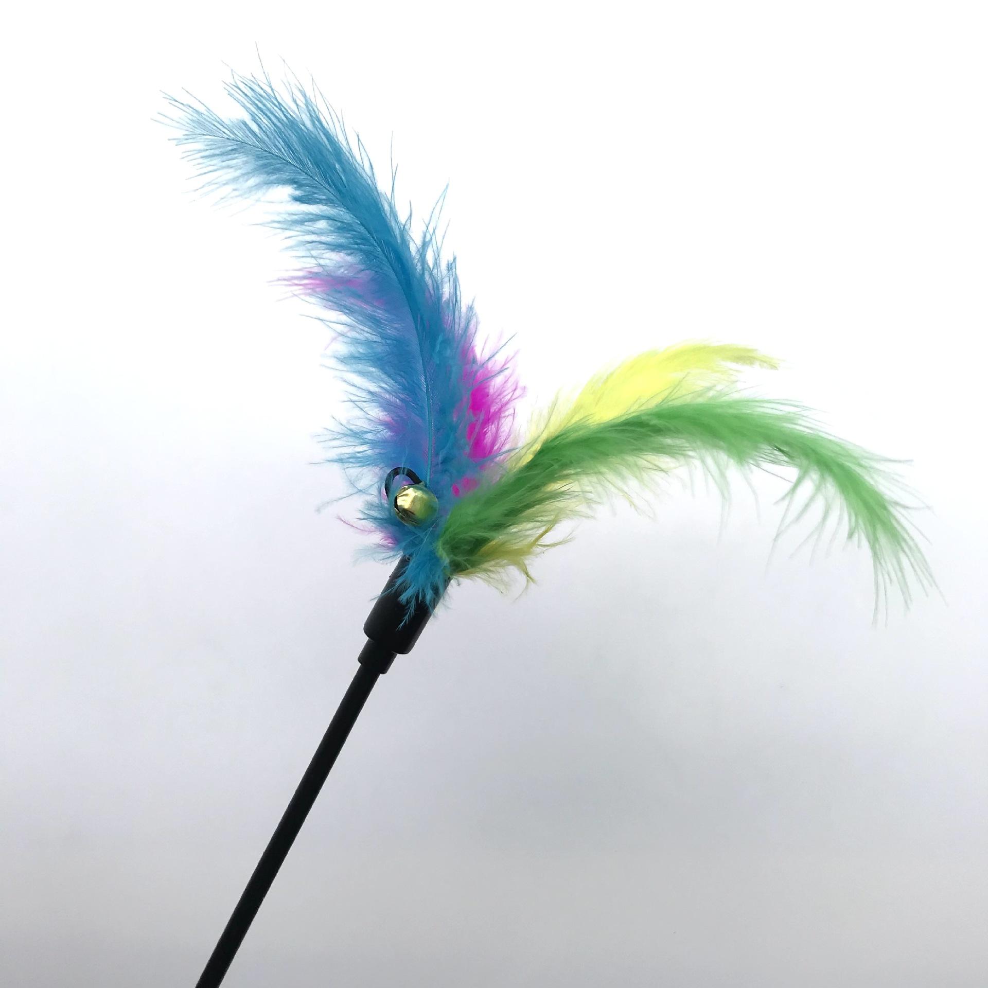 微信图片_20221003172729