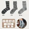Calcetines de algodón sin costuras para otoño e invierno para mujer, calcetines largos de encaje gris azulados lindos, calcetines de algodón versátiles, calcetines largos estilo Miu