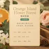 Botella pequeña de 10 ml de aceite esencial de aromaterapia sin llama, líquido de recarga para difusor de aroma de hotel, fragancia natural, aroma duradero, venta al por mayor