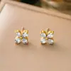 Pendientes de Acero de Titanio y Perla de Nuevo Dongguan Transfronterizos de Gama Alta con Baño de Oro de 18 Quilates Pendientes de Acero de Titanio con Borla Pendientes para Mujer Venta al por Mayor