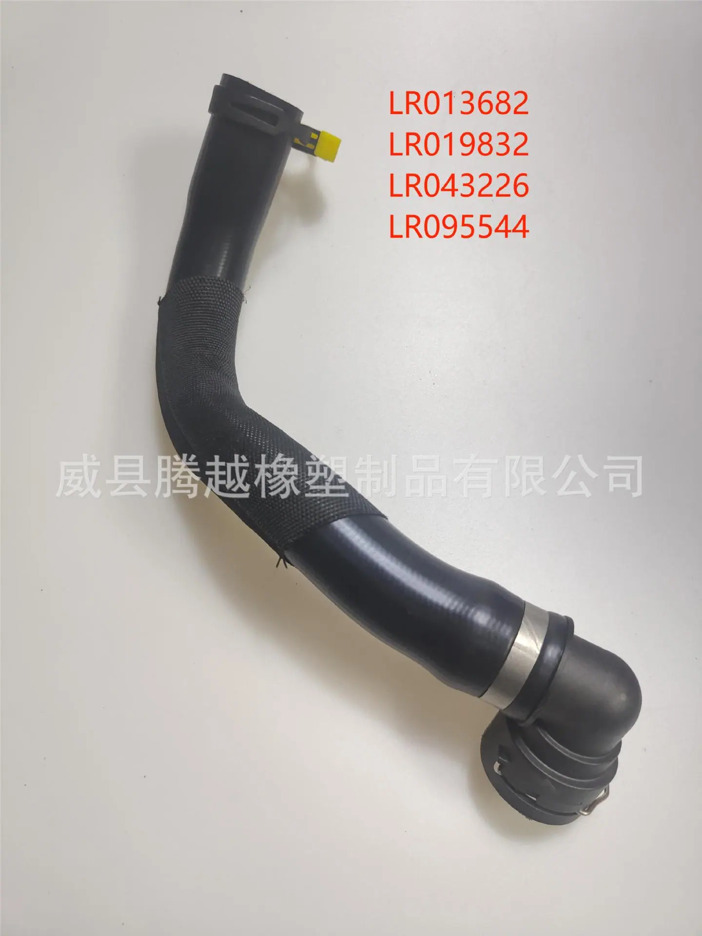 LR095544