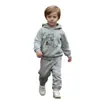 Conjunto de Ropa para Niños Transfronterizo Amazon Aliexpress Comercio Exterior Dropshipping para Niños Mayores Sudadera con Capucha y Pantalones de Chándal Conjunto de Dos Piezas