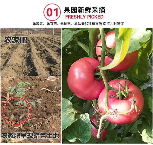 b38a4b80-105c-4b10-bf45-d90201b03dfd.jpe