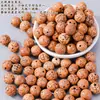 Conchas de Cáscara de Fruta Natural al por Mayor Kit de Materiales DIY para Carrillones de Viento Huevo de Fénix Muñeca Sonajero Accesorios