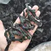 Nudos de Algas Marinas Nuevas Secas de Xiapu, Sin Sal, Sin Arena, Rodajas Gruesas de Algas Marinas para No Lavar, Algas Marinas Gruesas para Olla Caliente, Kanto