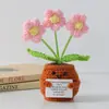 Flor de Tricô de Energia Positiva Transfronteiriça Planta em Vaso Produto Acabado Fio de Lã Flor de Simulação Ornamento de Mesa Boneca de Cartão de Mão