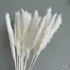 Flores Secas Blancas, Ramos de Flores Reales Estilo Crema, Decoraciones para Dormitorio, Pino de Penglai, Bigotes de Dragón, Algodón Rosa y Estrellado