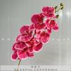 Phalaenopsis francesa de 9 cabezas, decoración para el hogar, decoración de bodas, accesorios para fotos, decoración de bodas en hoteles.