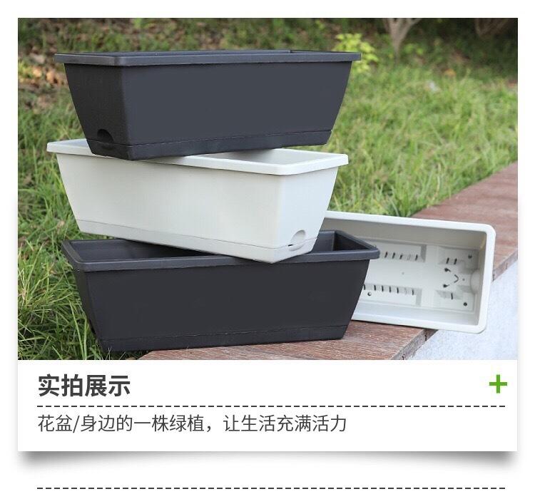f9e178ed-495c-4514-9704-8f775730b3ec.jpe