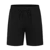 Shorts de malha de secagem rápida com cordão na cintura média para verão masculino, tamanhos grandes, casuais, versáteis, para praia, de importação Amazon