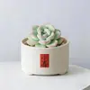 Conjunto fofo de plantas de interior para mesa para jardim de infância, fácil de cultivar e cuidar, pequenas plantas em vasos